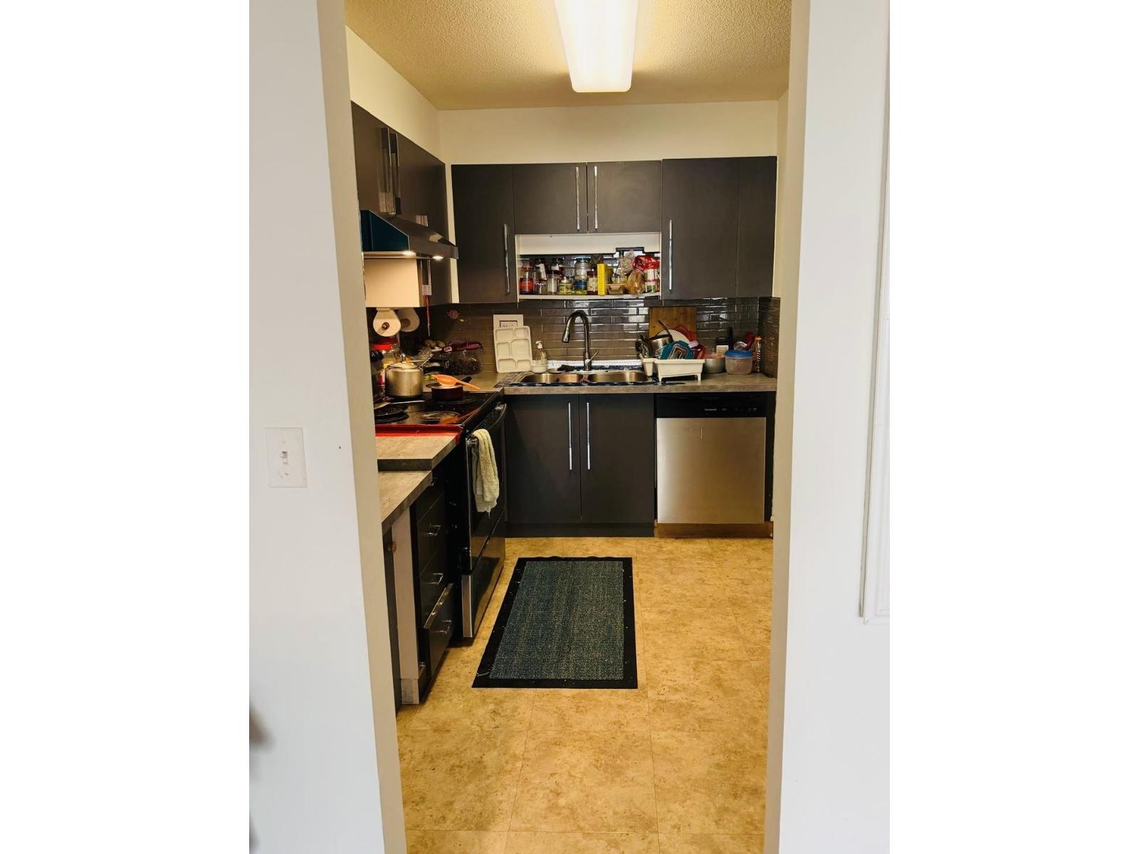 318 8068 120 A Street, Surrey, British Columbia  V3W 3P3 - Photo 3 - R3114253