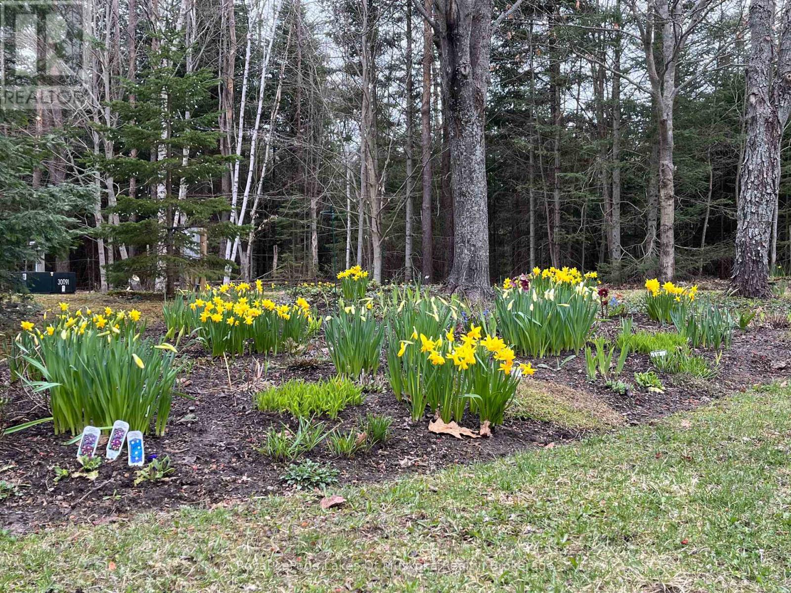 57 Hiawatha Drive, Huntsville, Ontario  P0B 1L0 - Photo 34 - X12822950