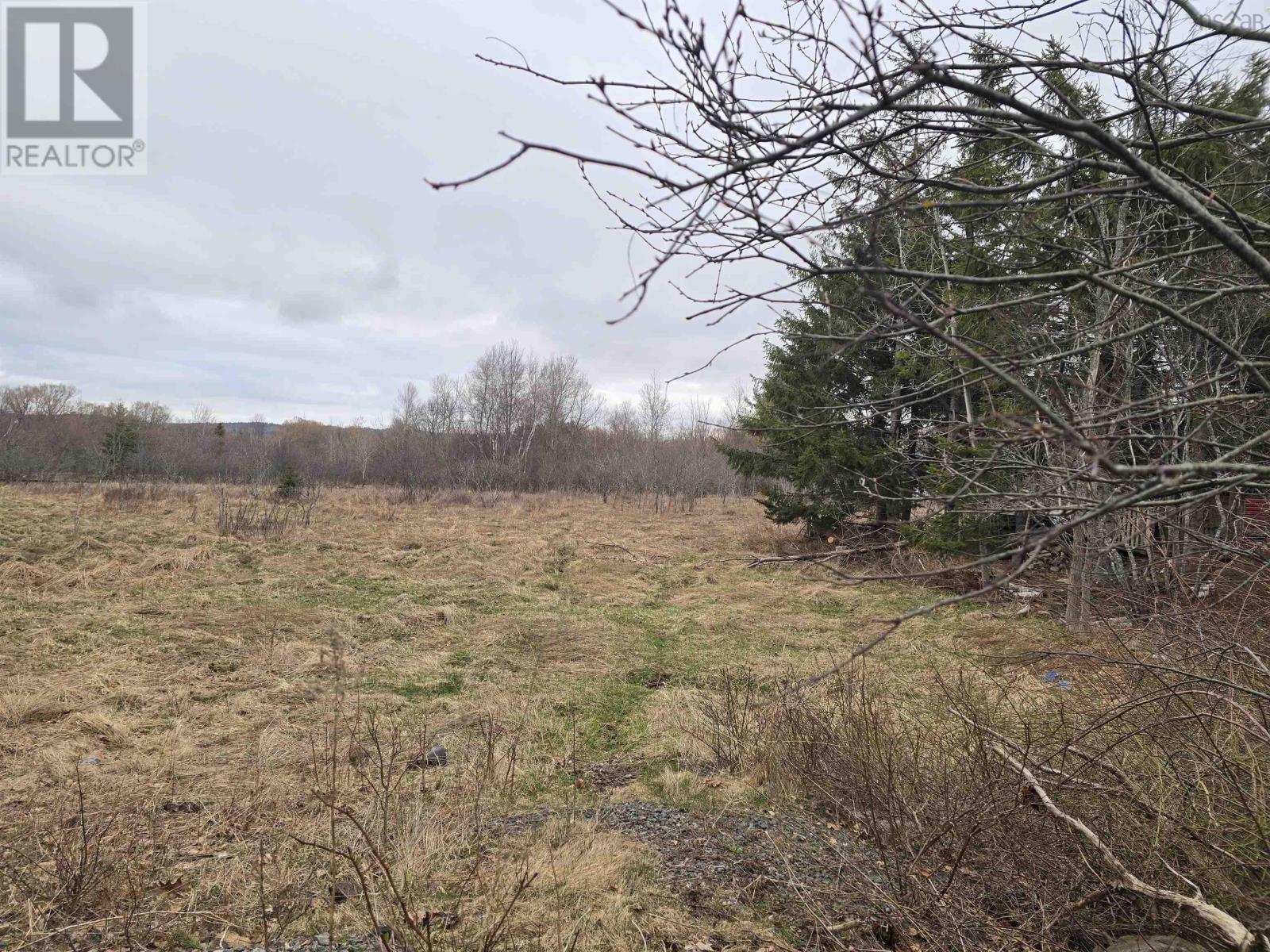 Lot 1880 Hoyt Street, Westville, Nova Scotia  B0K 2A0 - Photo 3 - 202608355