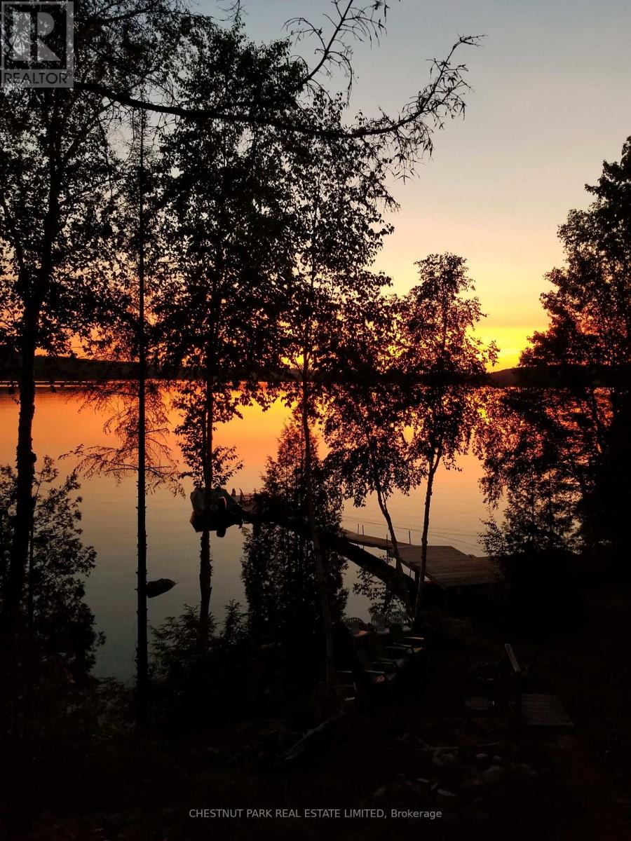 1140 Merganser Trail, Dysart Et Al, Ontario  K0M 1S0 - Photo 38 - X13034868