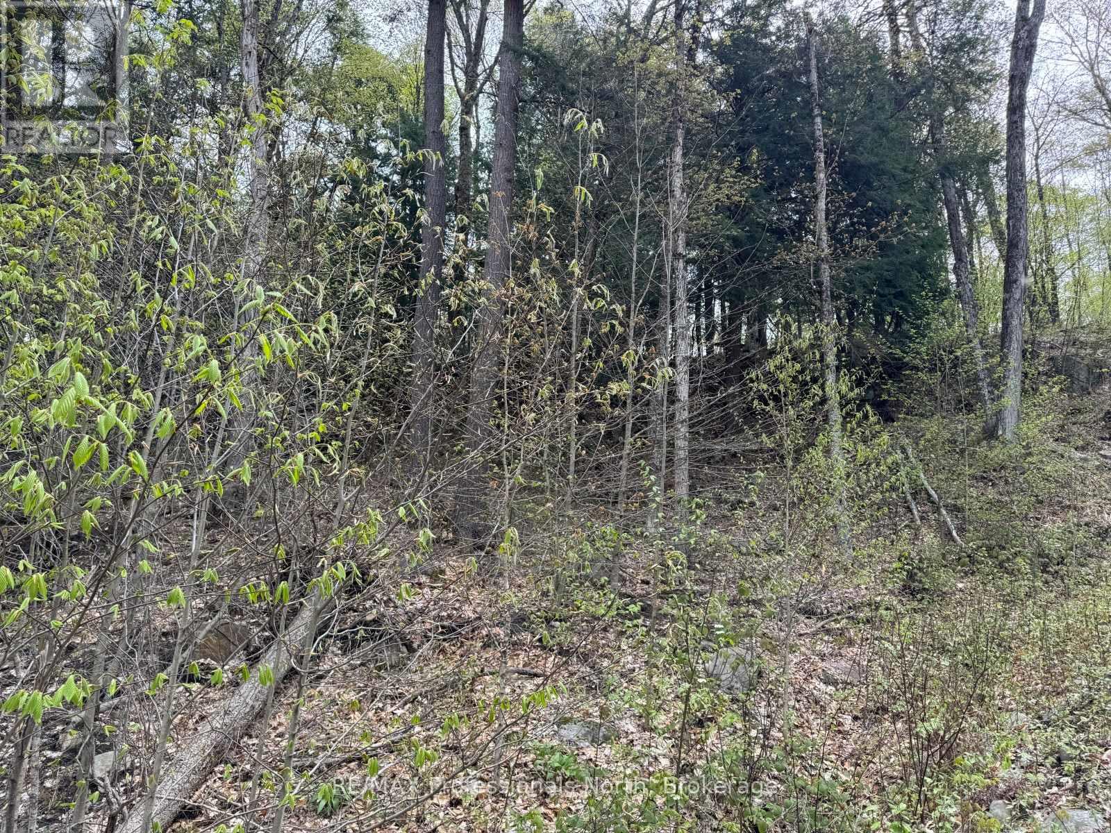 Lot 165 Glen Lake Court, Dysart Et Al, Ontario  K0M 1M0 - Photo 10 - X13035194