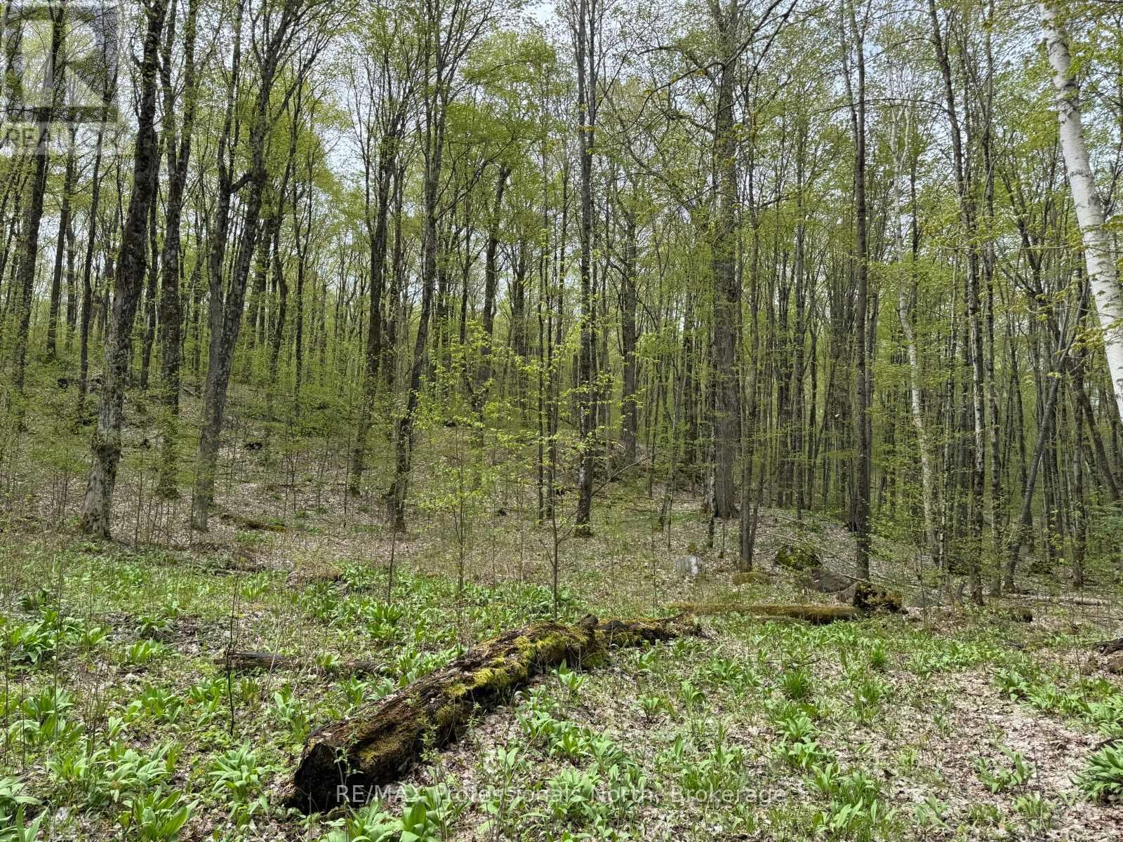 Lot 165 Glen Lake Court, Dysart Et Al, Ontario  K0M 1M0 - Photo 12 - X13035194