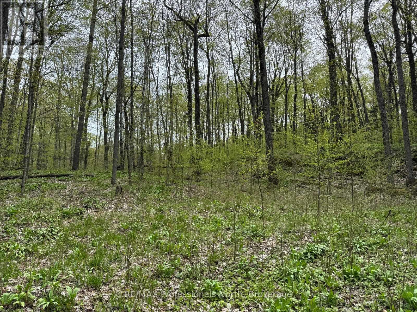 Lot 165 Glen Lake Court, Dysart Et Al, Ontario  K0M 1M0 - Photo 13 - X13035194