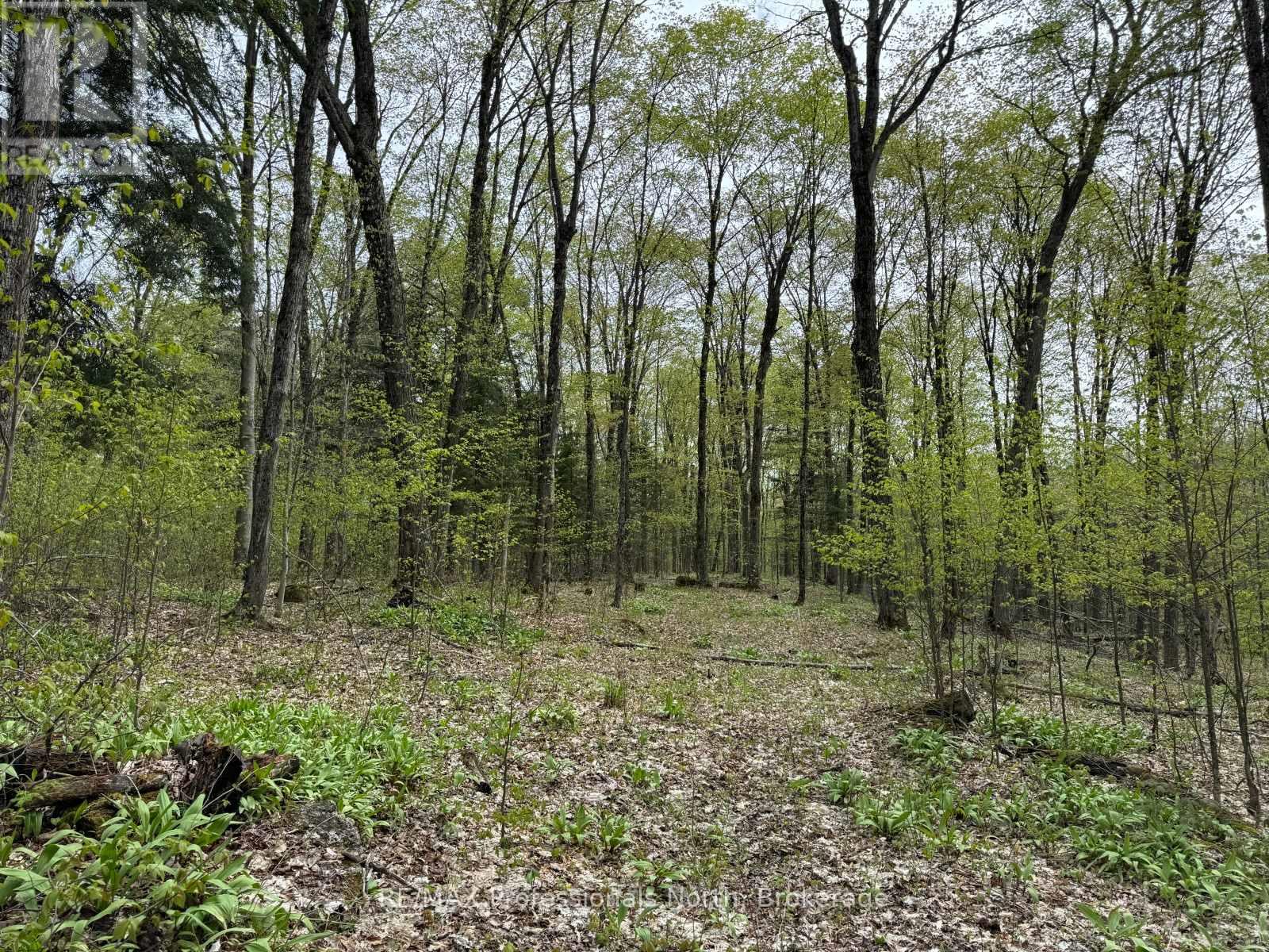 Lot 165 Glen Lake Court, Dysart Et Al, Ontario  K0M 1M0 - Photo 14 - X13035194