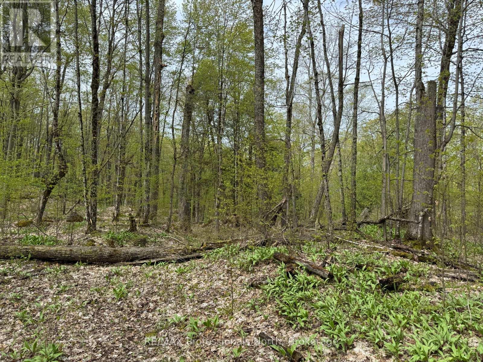 Lot 165 Glen Lake Court, Dysart Et Al, Ontario  K0M 1M0 - Photo 15 - X13035194