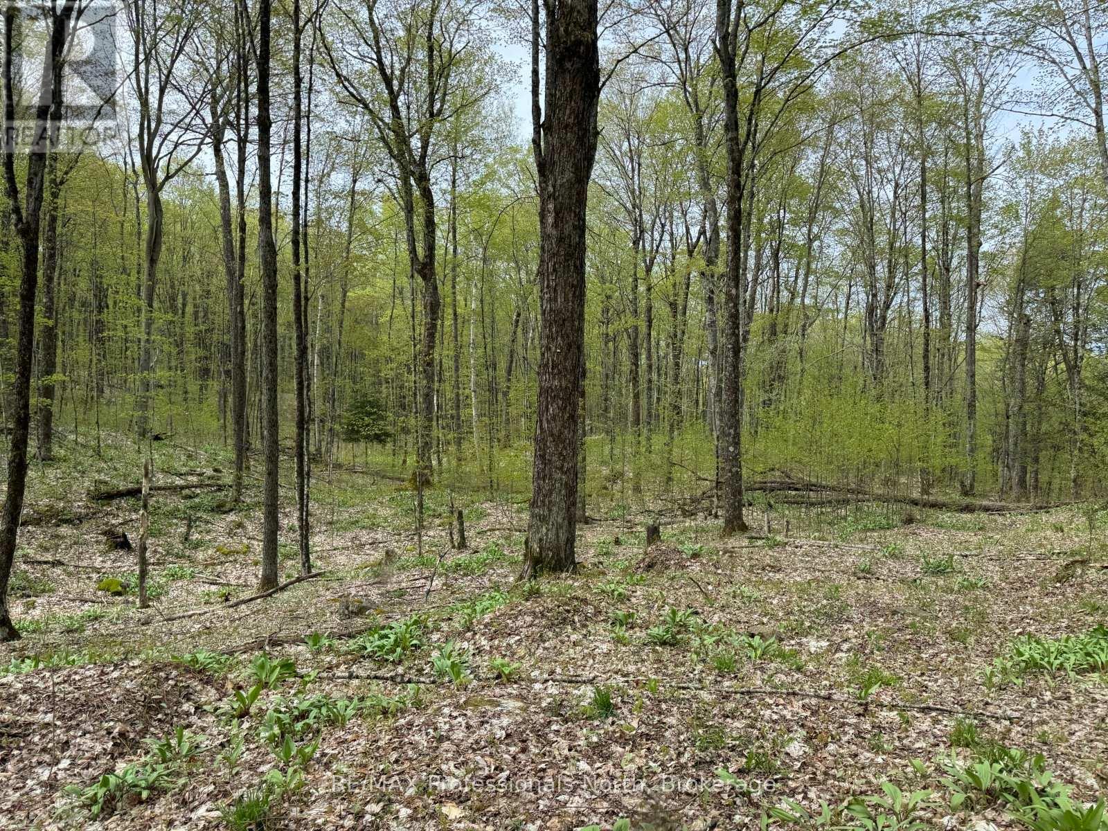 Lot 165 Glen Lake Court, Dysart Et Al, Ontario  K0M 1M0 - Photo 16 - X13035194