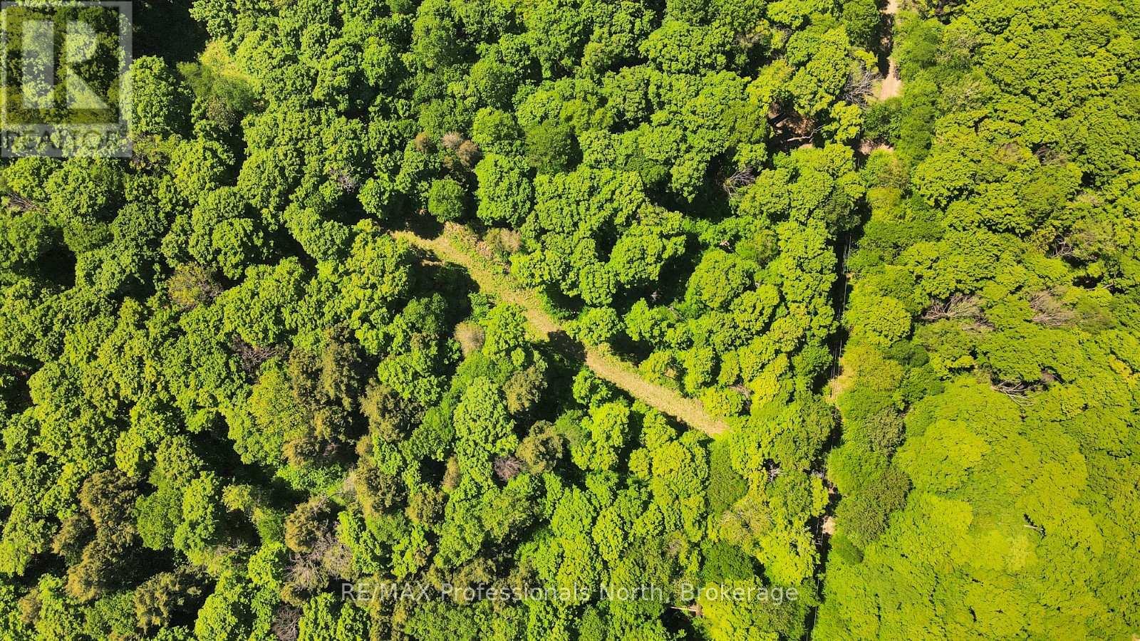 Lot 165 Glen Lake Court, Dysart Et Al, Ontario  K0M 1M0 - Photo 2 - X13035194