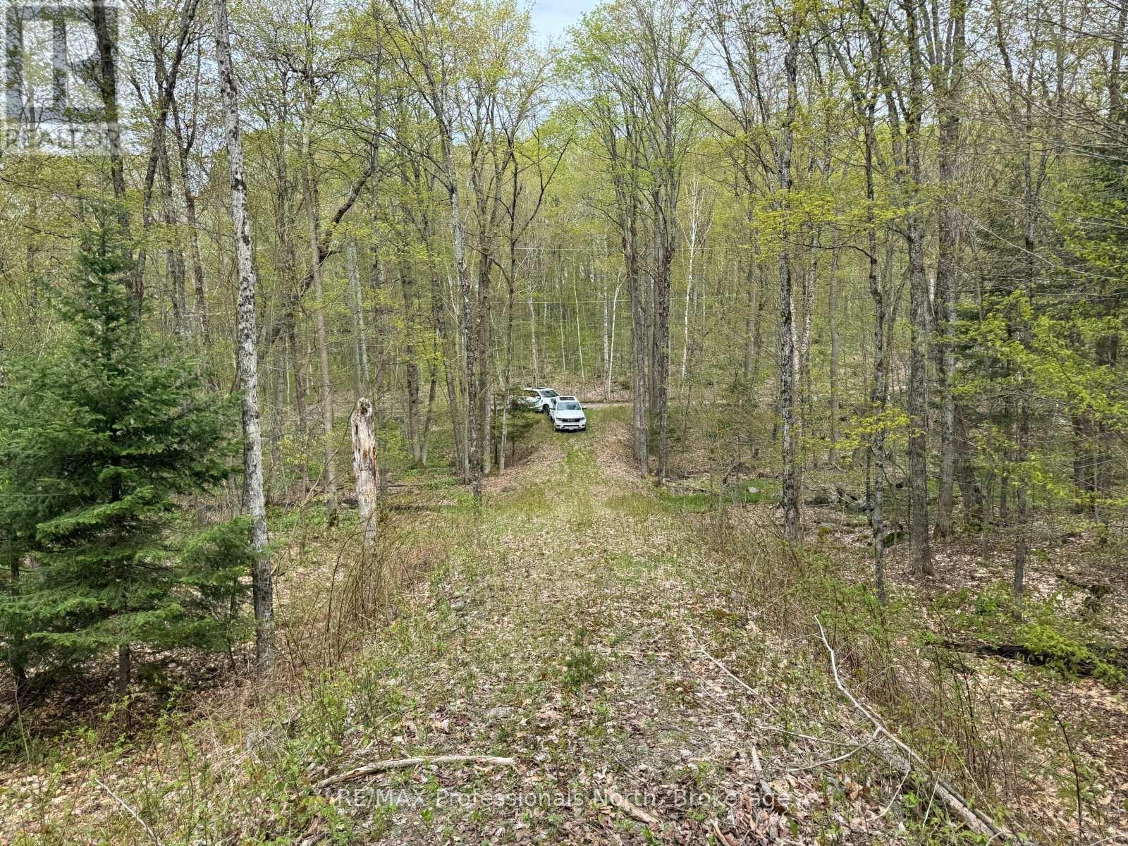 Lot 165 Glen Lake Court, Dysart Et Al, Ontario  K0M 1M0 - Photo 8 - X13035194