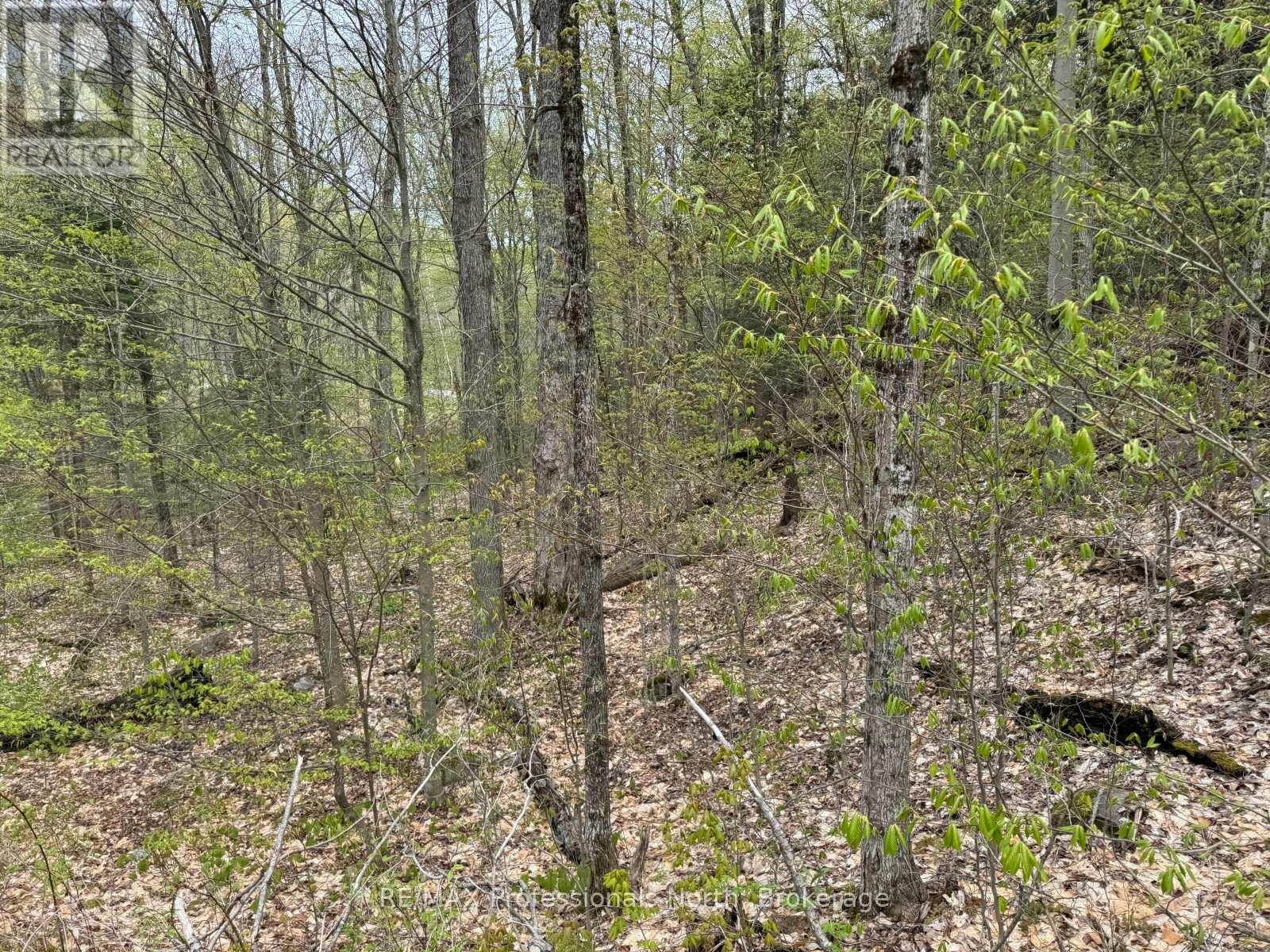 Lot 165 Glen Lake Court, Dysart Et Al, Ontario  K0M 1M0 - Photo 9 - X13035194