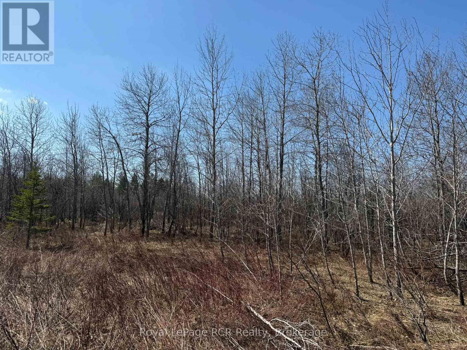 Pt Lt 12 Grey Rd 14, Southgate, Ontario  N0G 1N0 - Photo 4 - X13035304