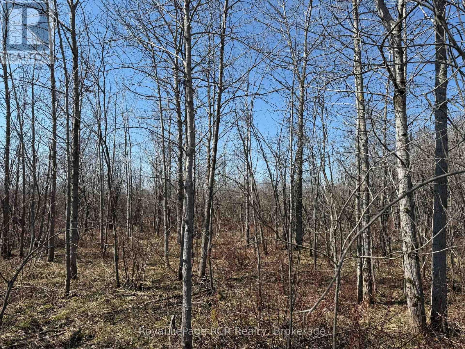 Pt Lt 12 Grey Rd 14, Southgate, Ontario  N0G 1N0 - Photo 8 - X13035304