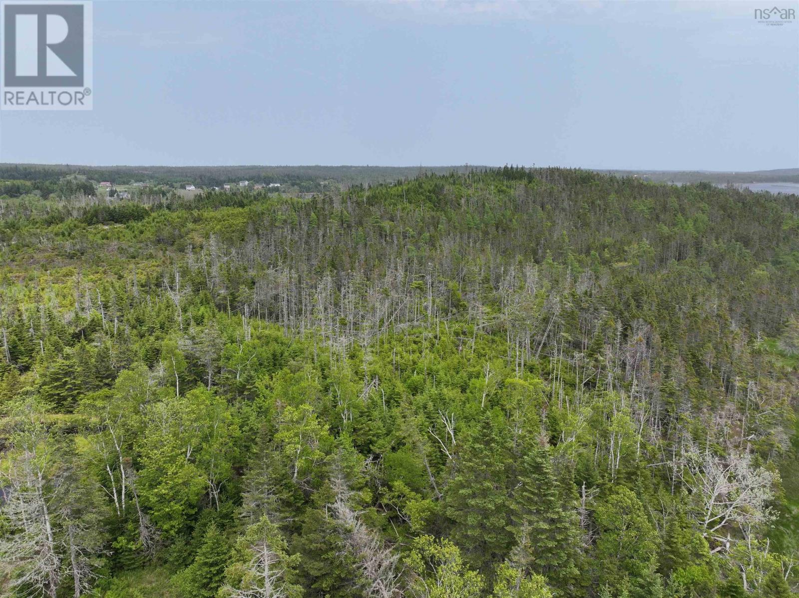 Lot 1 Mackinley Point Road, Spanish Ship Bay, Nova Scotia  B0J 1A0 - Photo 13 - 202604488