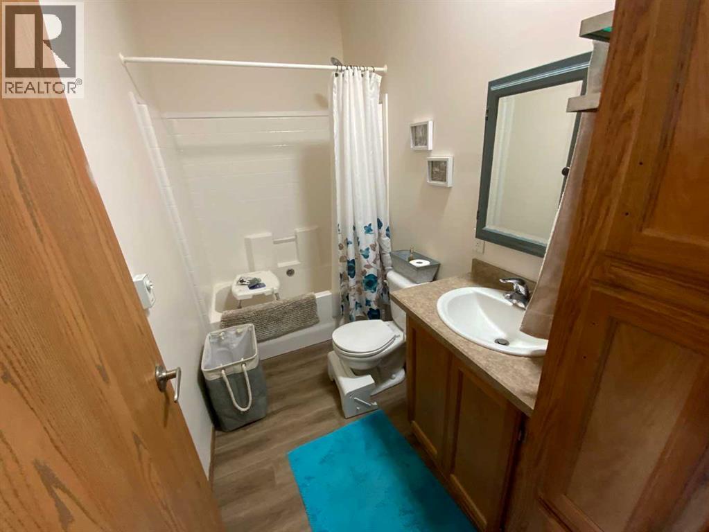 6 Cherry Lane Se, Three Hills, Alberta  T0M 2A0 - Photo 8 - A2300313