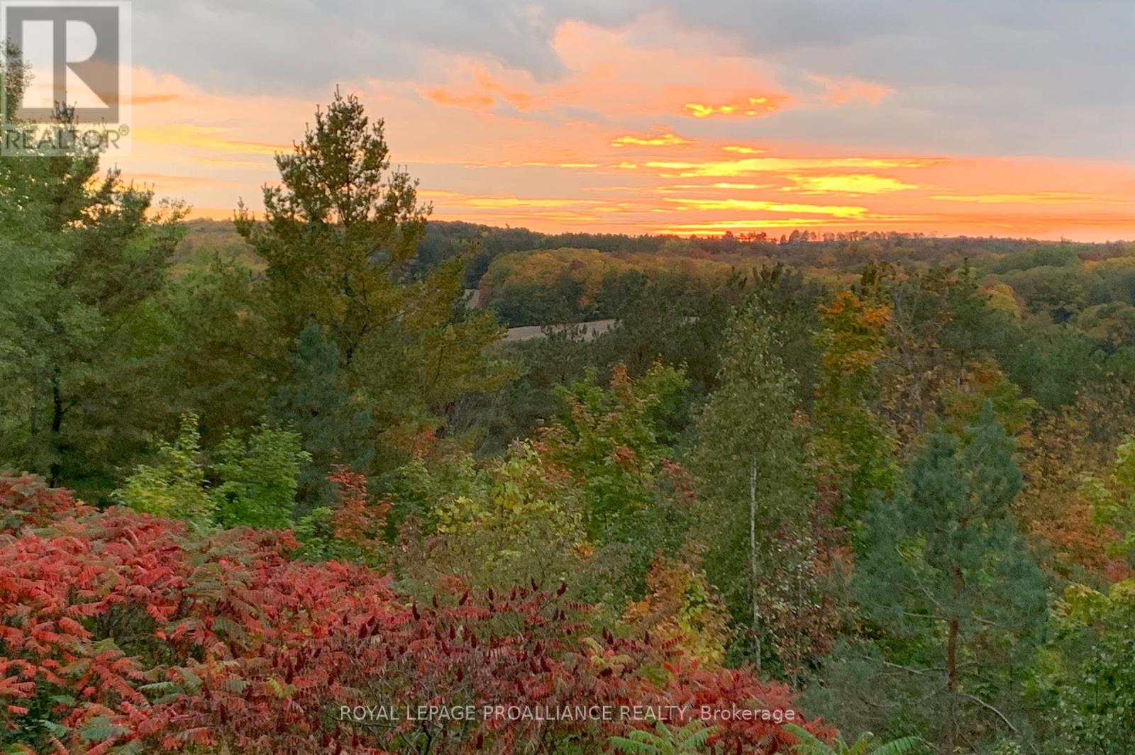 849 Bland Line, Cavan Monaghan, Ontario  L0A 1C0 - Photo 9 - X13033012