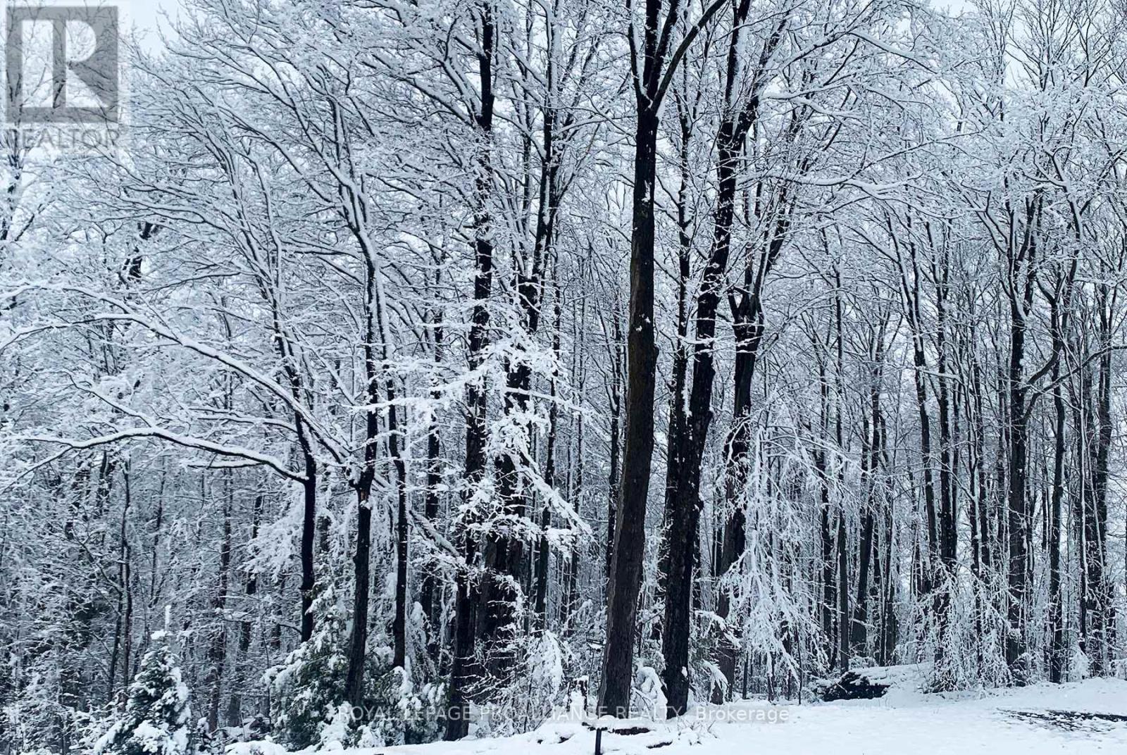 849 Bland Line, Cavan Monaghan, Ontario  L0A 1C0 - Photo 50 - X13033012