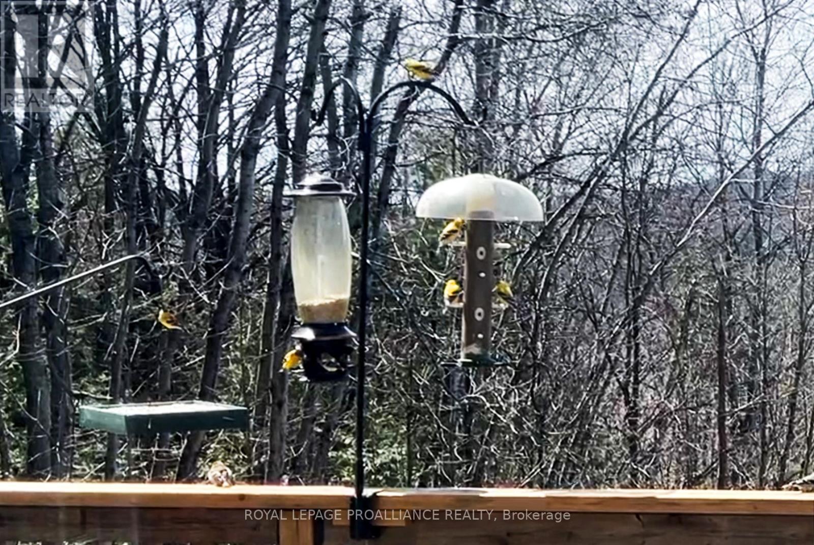 849 Bland Line, Cavan Monaghan, Ontario  L0A 1C0 - Photo 8 - X13033012