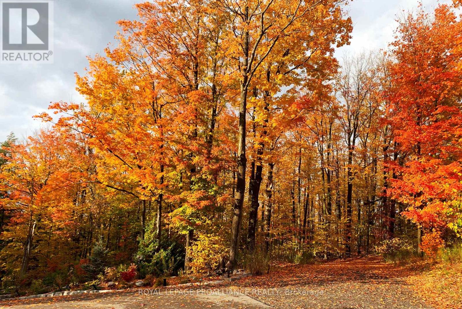 849 Bland Line, Cavan Monaghan, Ontario  L0A 1C0 - Photo 48 - X13033012