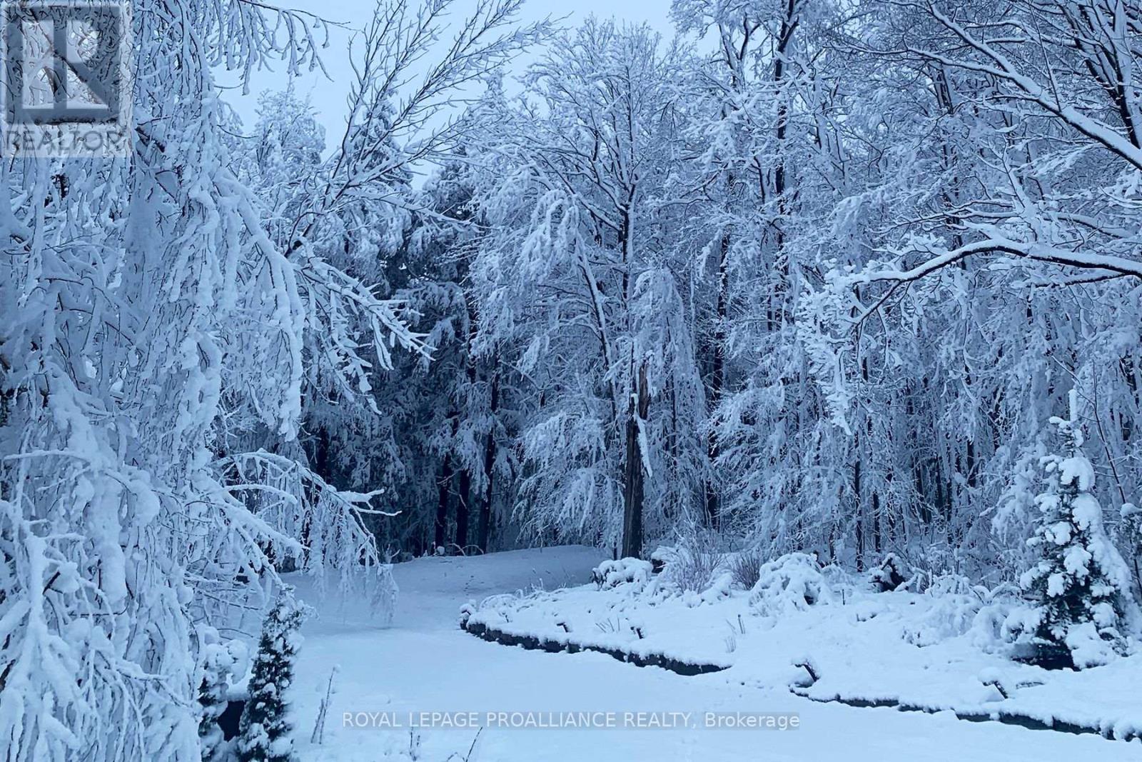 849 Bland Line, Cavan Monaghan, Ontario  L0A 1C0 - Photo 49 - X13033012