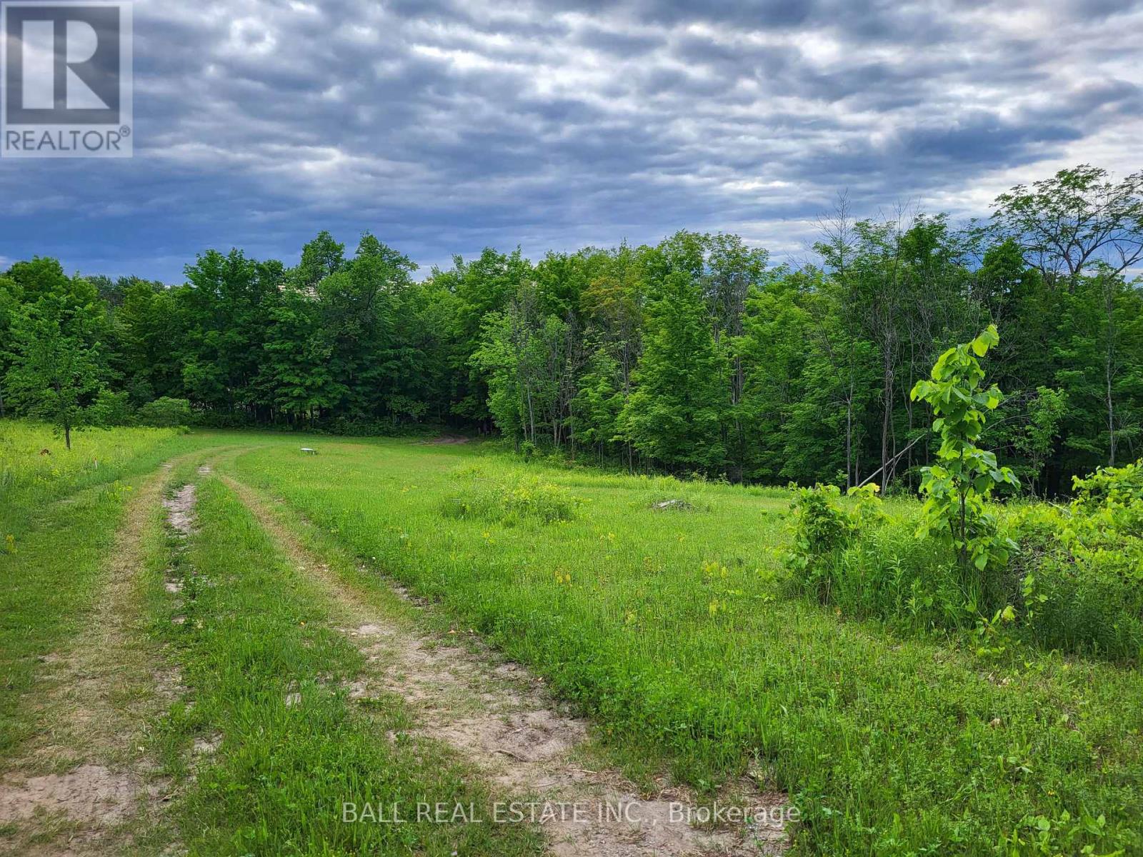 81 Silver Heights Drive, Trent Hills, Ontario  K0L 1Y0 - Photo 20 - X13032874