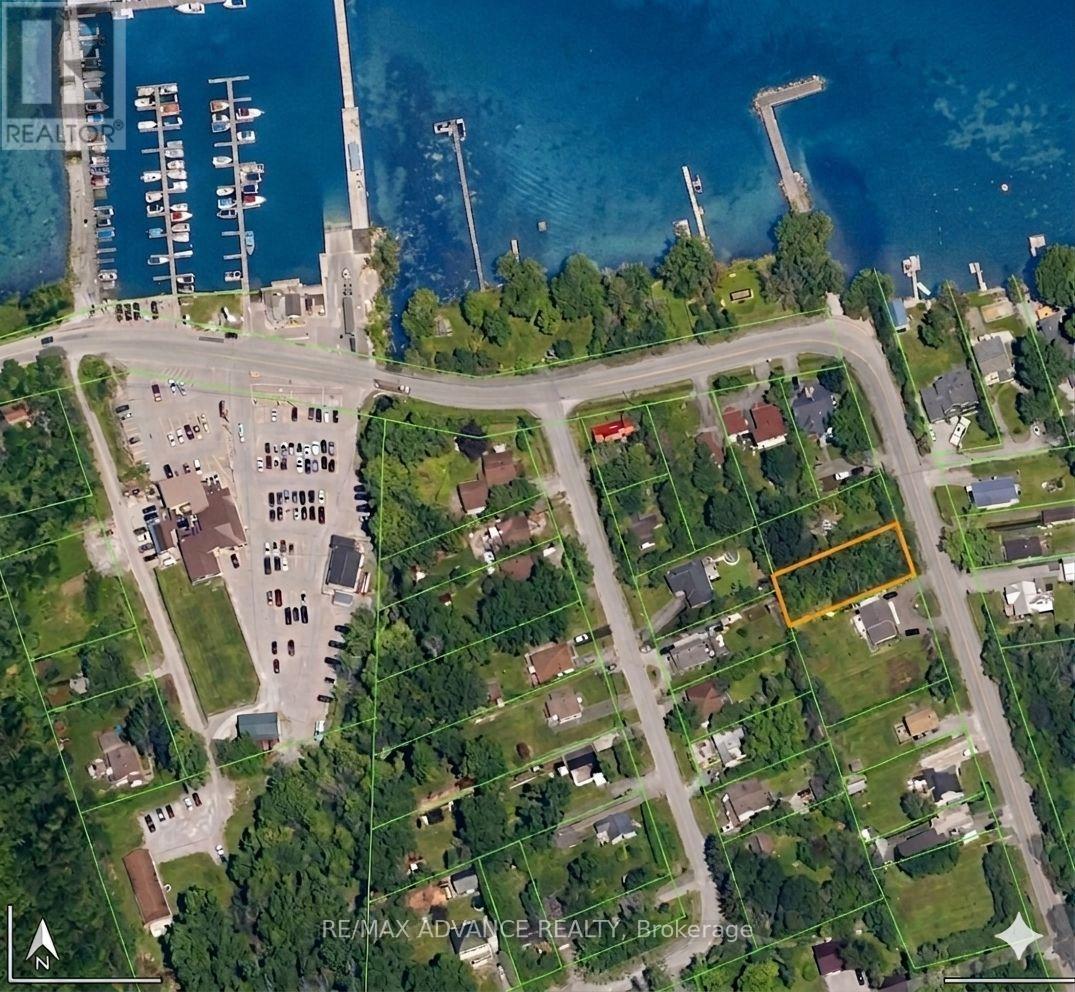 8 Hadden Road, Georgina, Ontario  L0E 1R0 - Photo 1 - N13035238