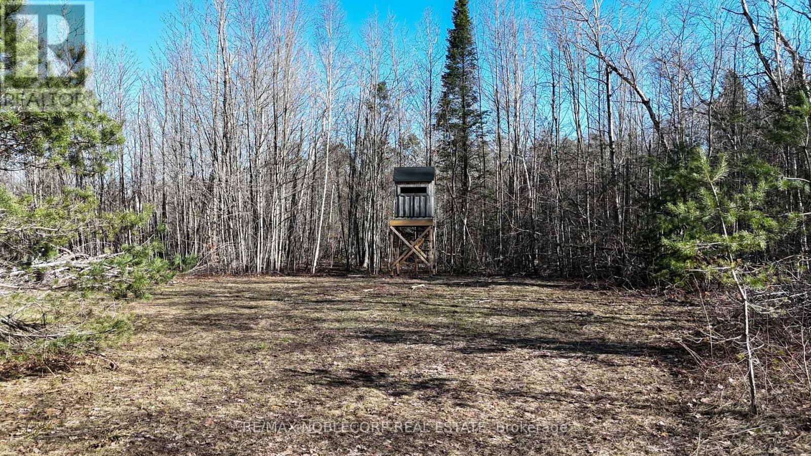 3128 New Brailey Line, Severn, Ontario  L3V 5Z4 - Photo 44 - S13035218