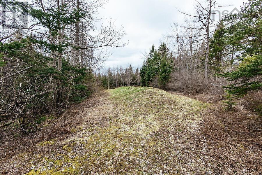 2249 Sackville Drive, Upper Sackville, Nova Scotia  B4E 3C7 - Photo 49 - 202608363