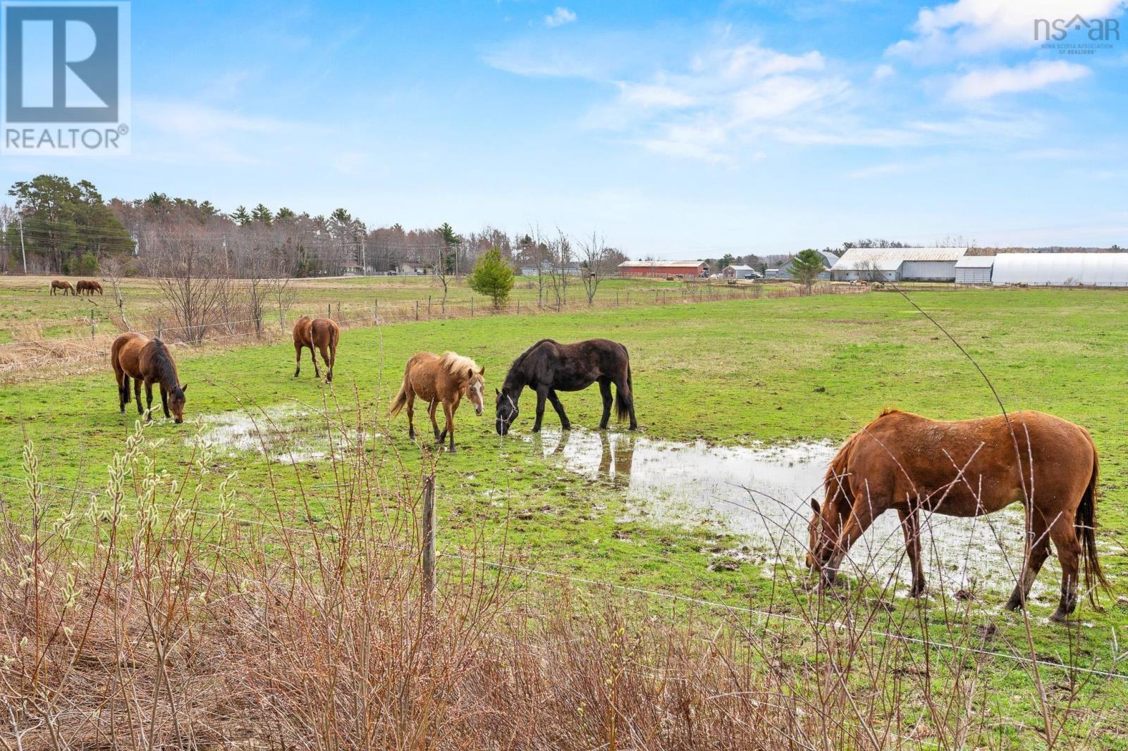1939 Middle Road, Nictaux, Nova Scotia  B0S 1P0 - Photo 49 - 202608364