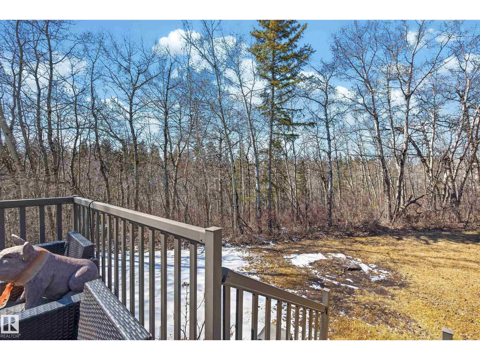 76 Willow Wy Nw, Edmonton, Alberta  T5T 1C8 - Photo 52 - E4483728