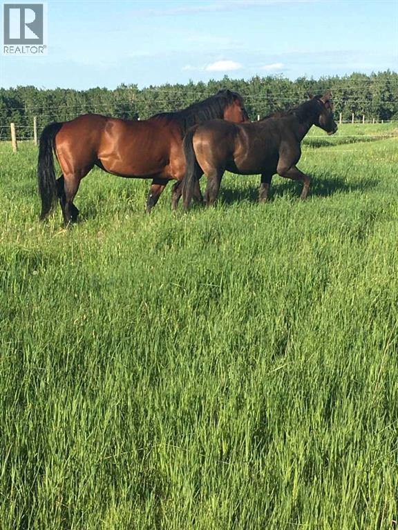 56120 Range Road 93, Mayerthorpe, Alberta  T7S 1N3 - Photo 28 - A2304342
