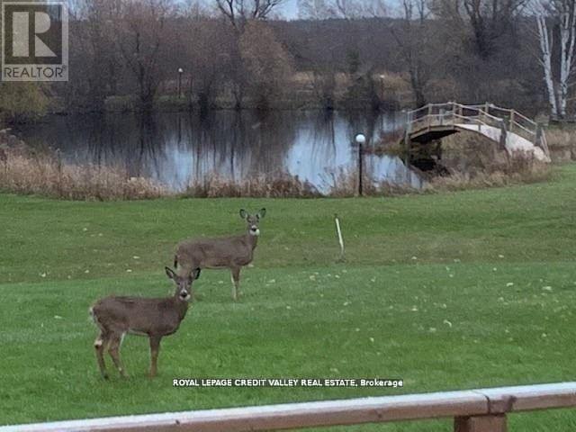 476345 3RD LINE, Melancthon, Ontario