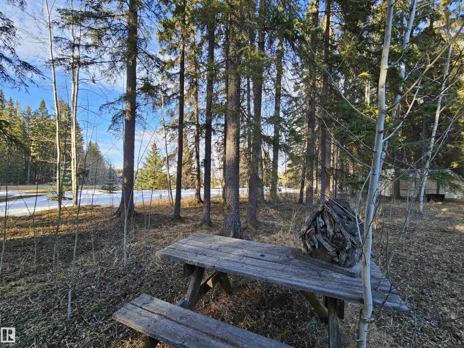 #13 63065 Twp Road 464, Rural Wetaskiwin County, Alberta  T0C 0T0 - Photo 40 - E4483154