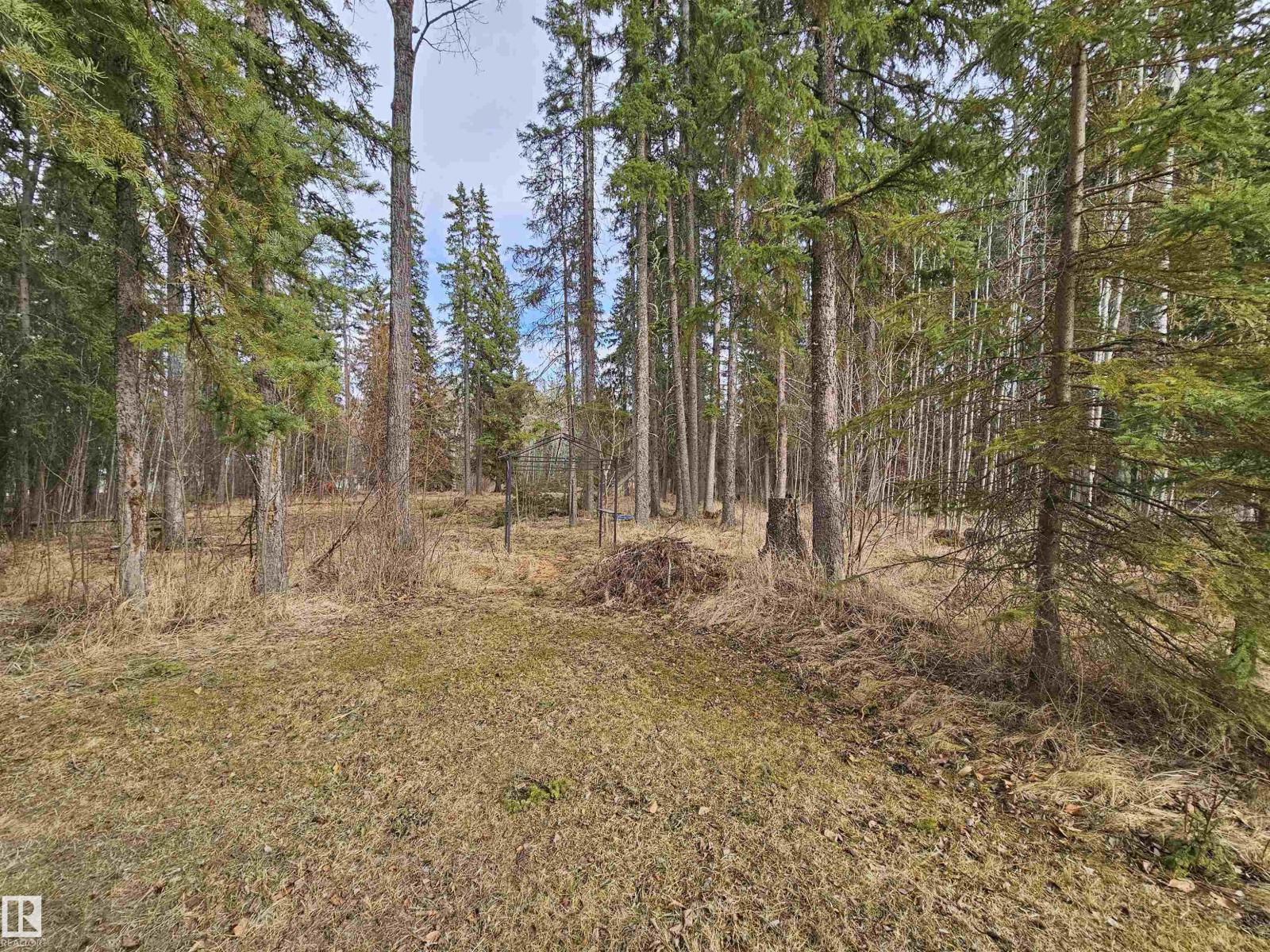 #13 63065 Twp Road 464, Rural Wetaskiwin County, Alberta  T0C 0T0 - Photo 43 - E4483154