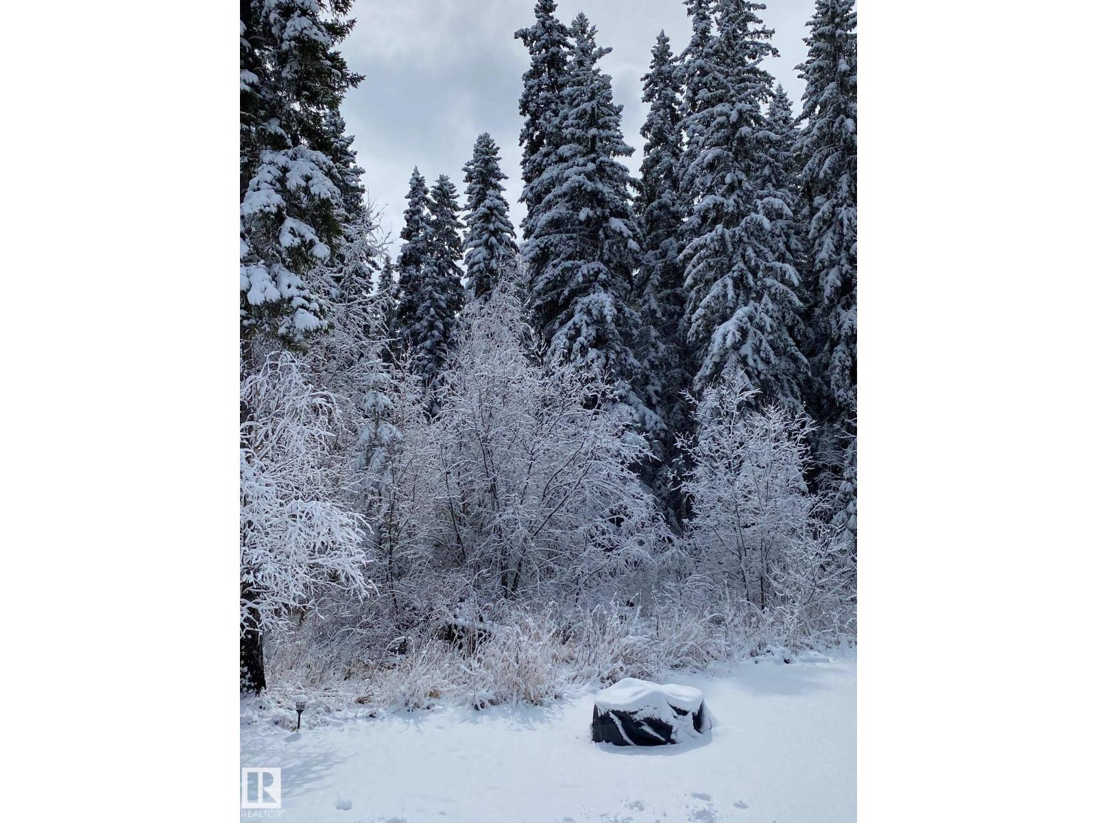 #13 63065 Twp Road 464, Rural Wetaskiwin County, Alberta  T0C 0T0 - Photo 48 - E4483154