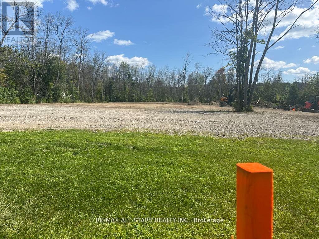 Lot 46 River Road, Kawartha Lakes, Ontario  K0M 1N0 - Photo 4 - X13035600