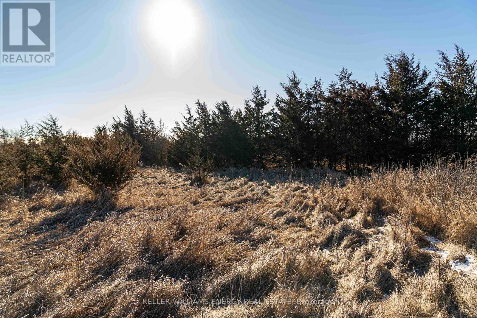 0 County Road 7, Prince Edward County (North Marysburg Ward), Ontario  K0K 2T0 - Photo 3 - X13035960