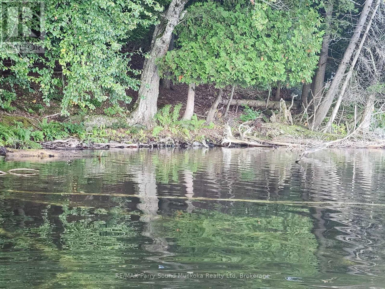 368 Simmons Lake Road, Magnetawan, Ontario  P0A 1P0 - Photo 10 - X12913636