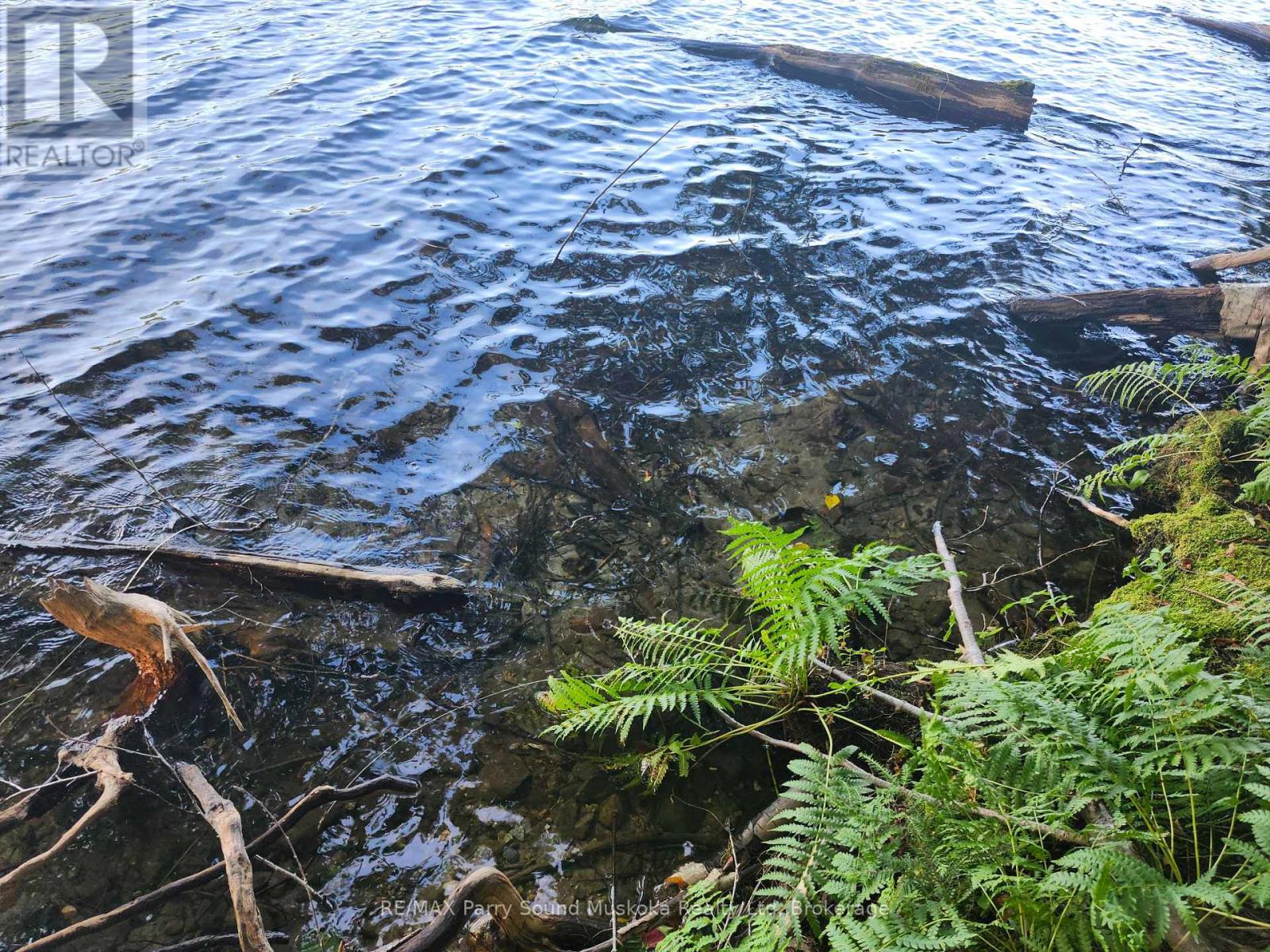 368 Simmons Lake Road, Magnetawan, Ontario  P0A 1P0 - Photo 2 - X12913636