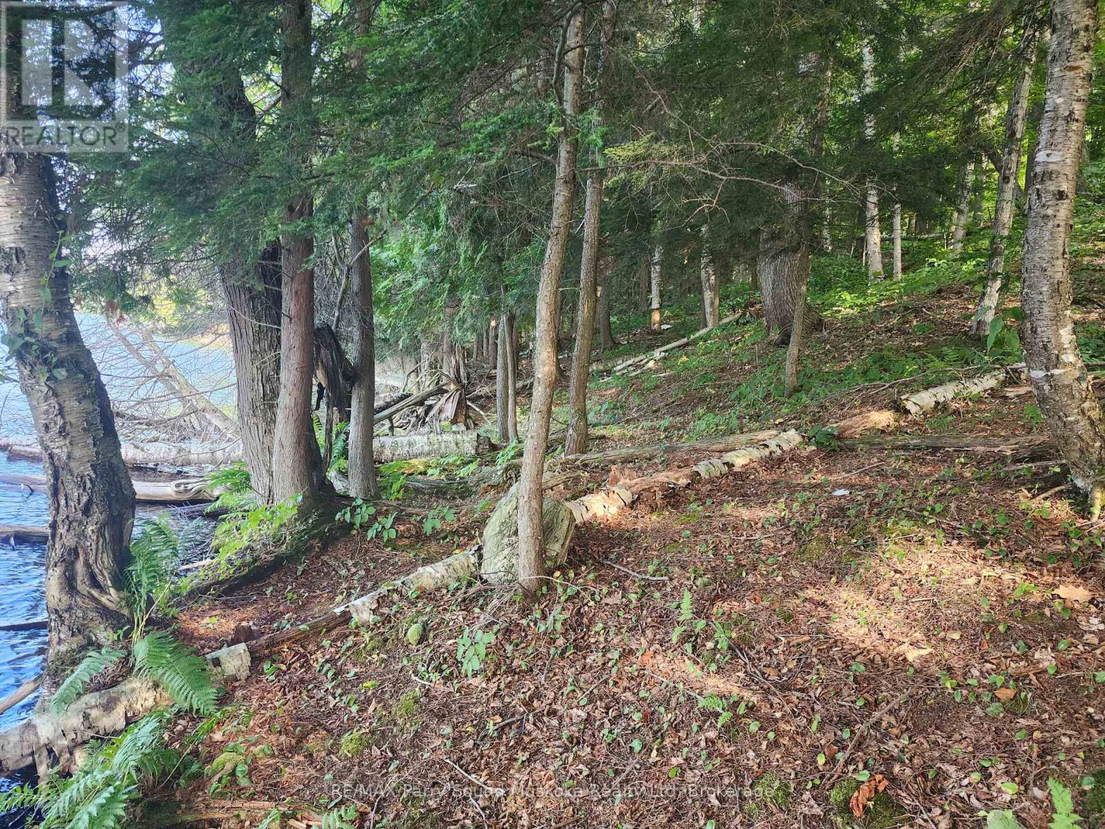 368 Simmons Lake Road, Magnetawan, Ontario  P0A 1P0 - Photo 3 - X12913636