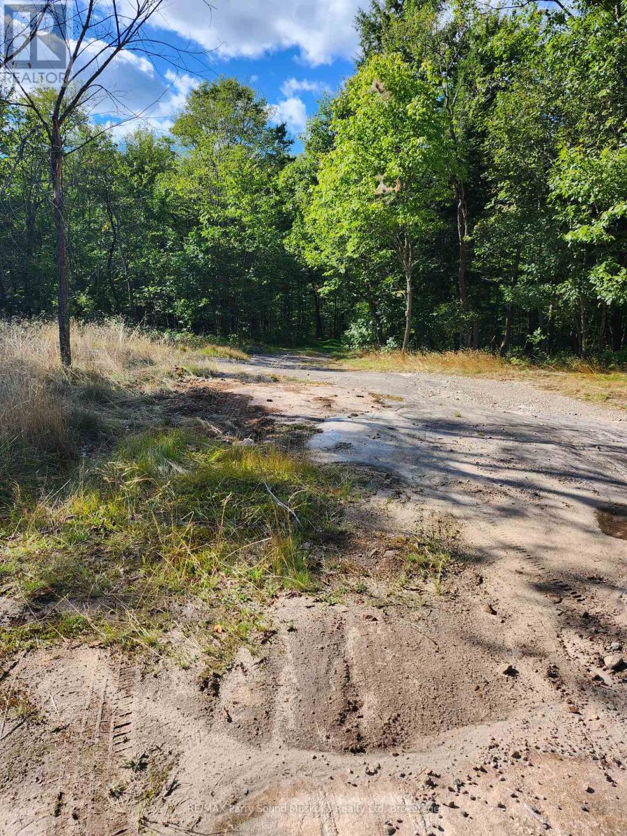 368 Simmons Lake Road, Magnetawan, Ontario  P0A 1P0 - Photo 4 - X12913636