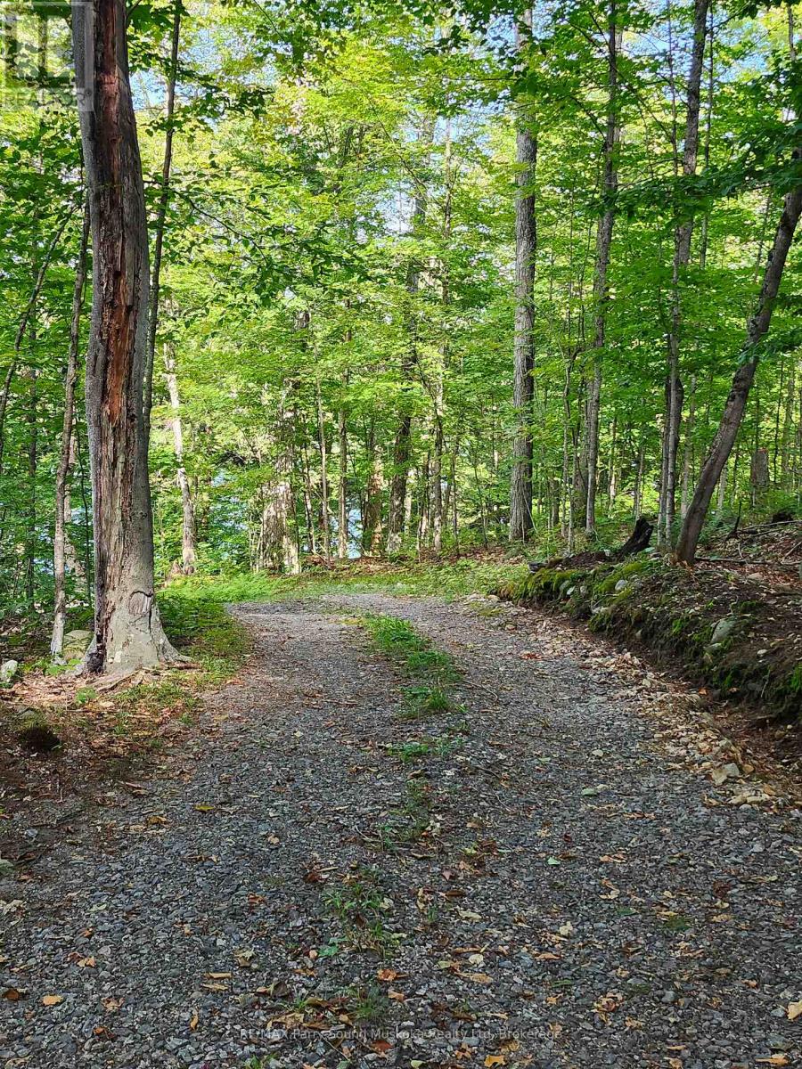 368 Simmons Lake Road, Magnetawan, Ontario  P0A 1P0 - Photo 5 - X12913636