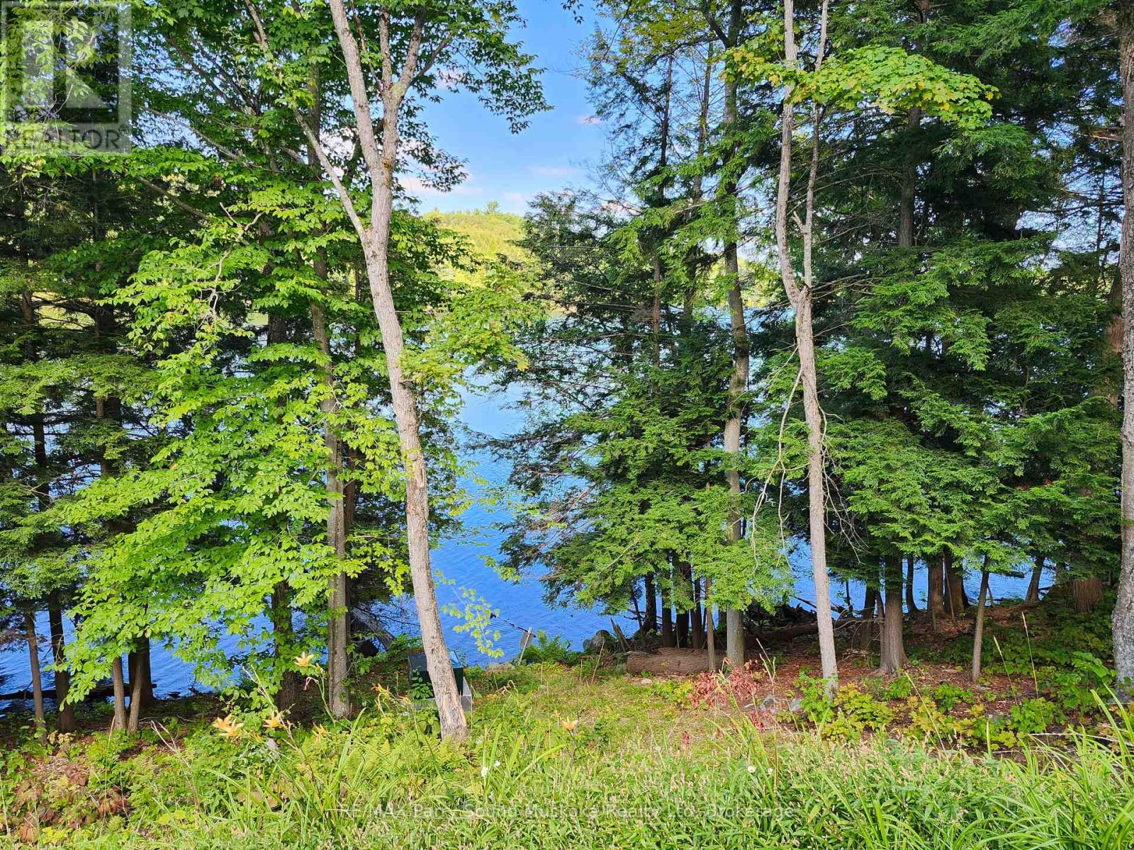 368 Simmons Lake Road, Magnetawan, Ontario  P0A 1P0 - Photo 7 - X12913636