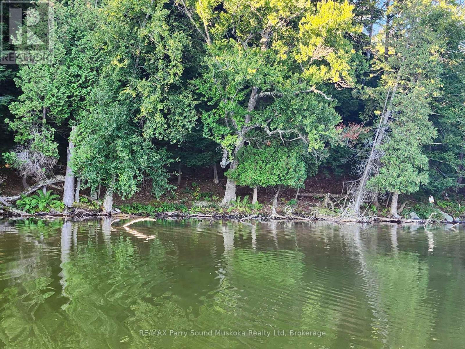 368 Simmons Lake Road, Magnetawan, Ontario  P0A 1P0 - Photo 9 - X12913636