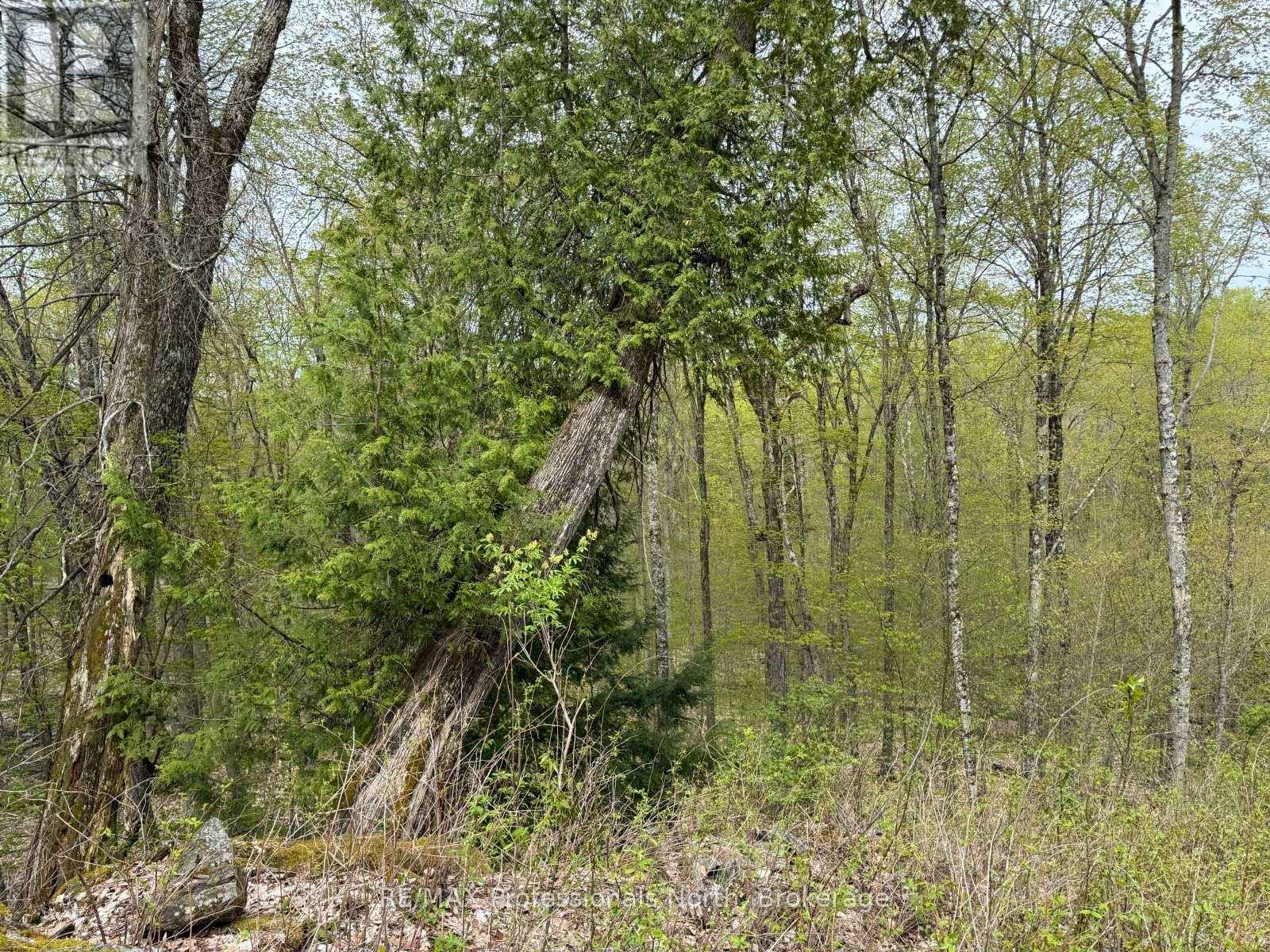 Lot 166 Glen Lake Court, Dysart Et Al, Ontario  K0M 1M0 - Photo 10 - X13035640