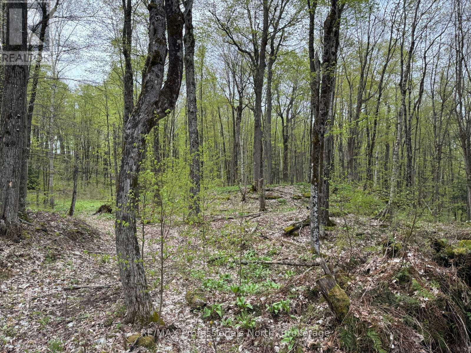 Lot 166 Glen Lake Court, Dysart Et Al, Ontario  K0M 1M0 - Photo 12 - X13035640