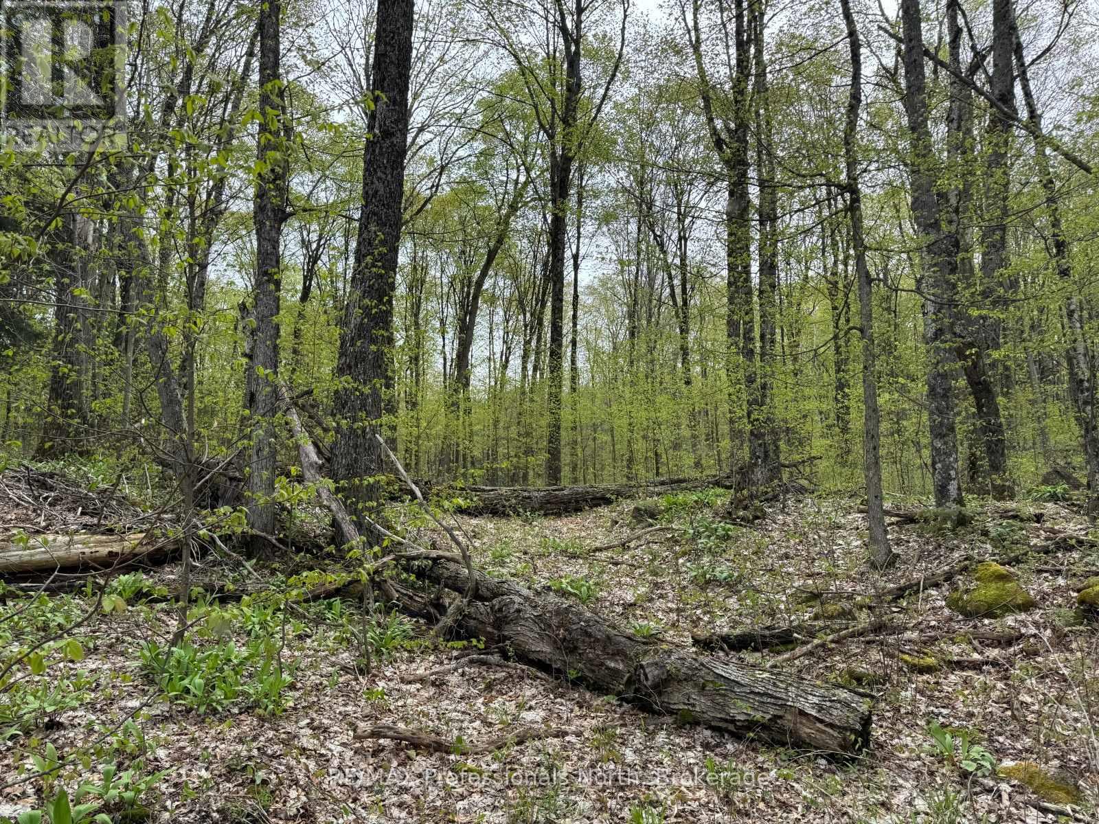 Lot 166 Glen Lake Court, Dysart Et Al, Ontario  K0M 1M0 - Photo 13 - X13035640