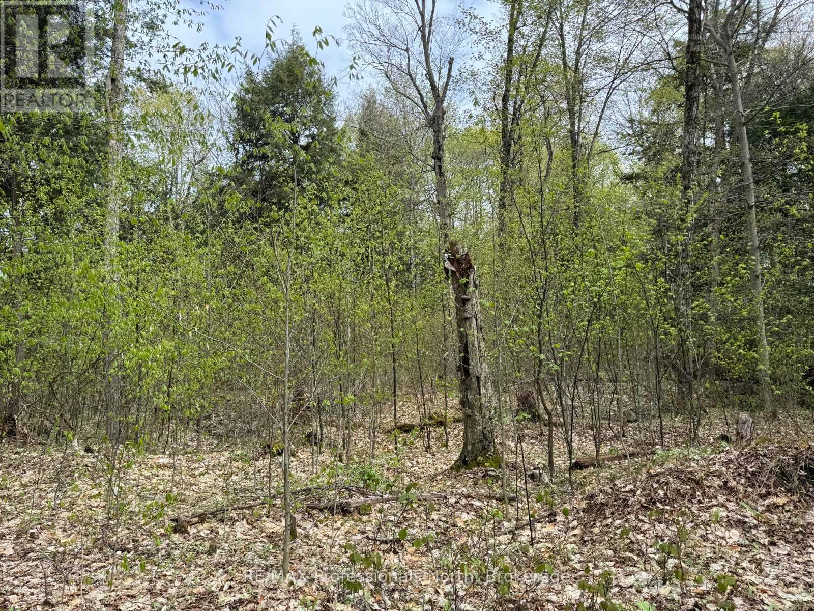 Lot 166 Glen Lake Court, Dysart Et Al, Ontario  K0M 1M0 - Photo 18 - X13035640