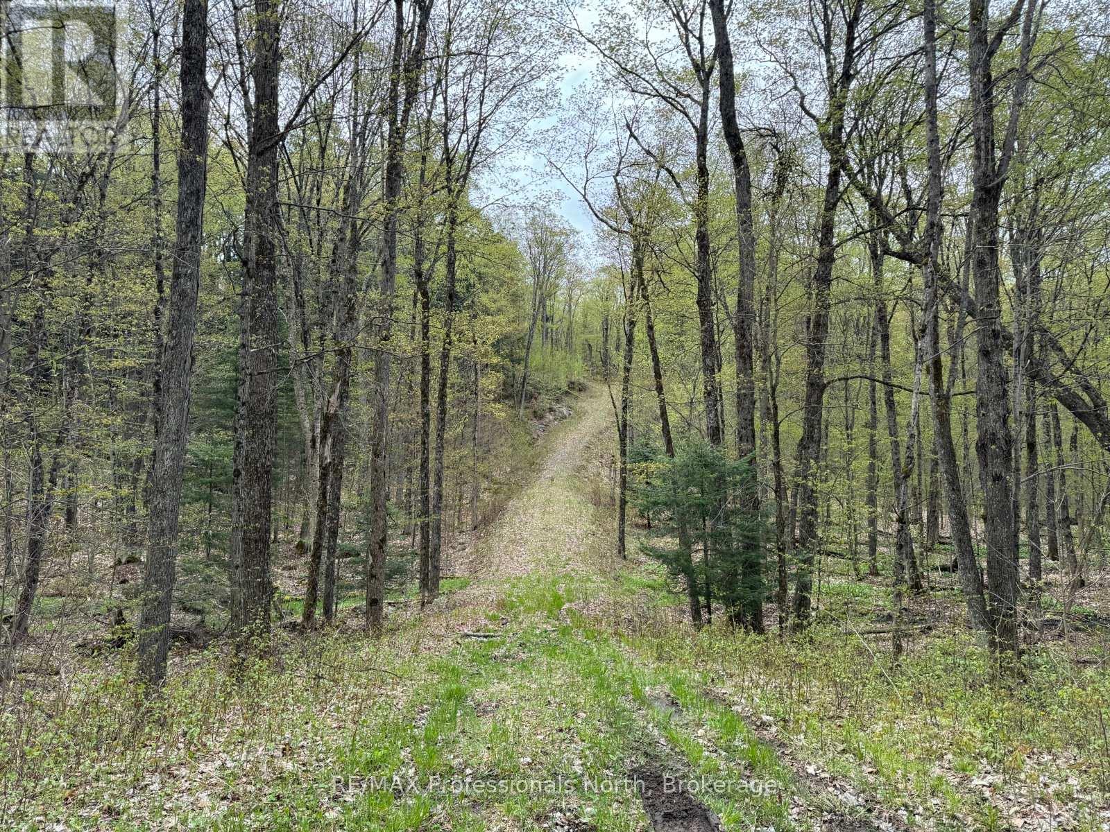 Lot 166 Glen Lake Court, Dysart Et Al, Ontario  K0M 1M0 - Photo 7 - X13035640