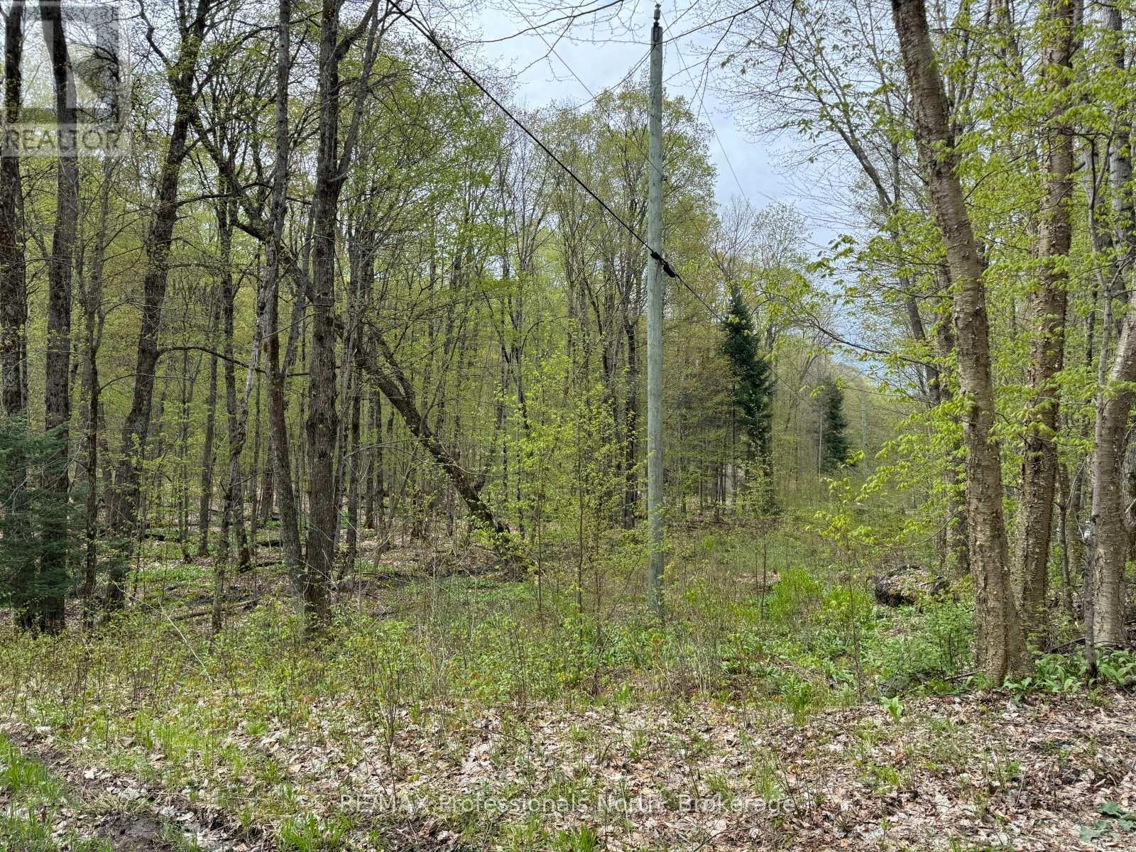 Lot 166 Glen Lake Court, Dysart Et Al, Ontario  K0M 1M0 - Photo 8 - X13035640