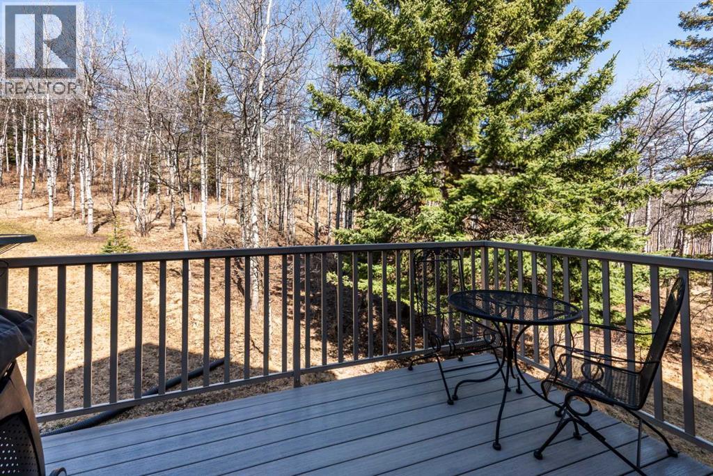 242074 1280 Drive W, Rural Foothills County, Alberta  T0L 1K0 - Photo 33 - A2304415