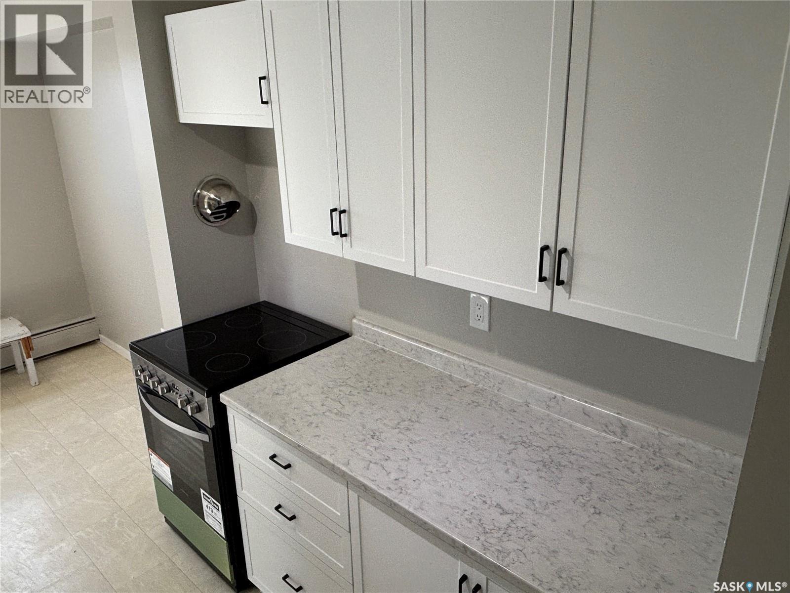 313 20 Kleisinger Crescent, Regina, Saskatchewan  S4R 7M3 - Photo 12 - SK033716